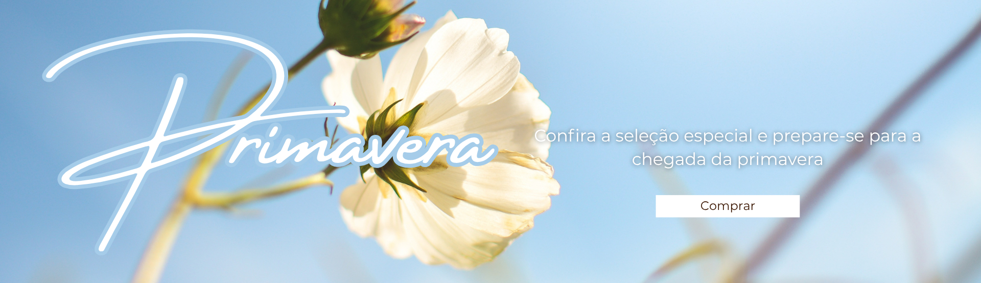 primavera_desk
